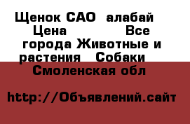 Щенок САО (алабай) › Цена ­ 10 000 - Все города Животные и растения » Собаки   . Смоленская обл.